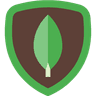 Skill logo